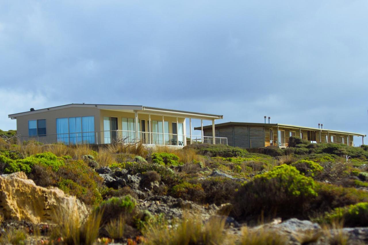Hanson Bay Cabins 金斯科特 外观 照片